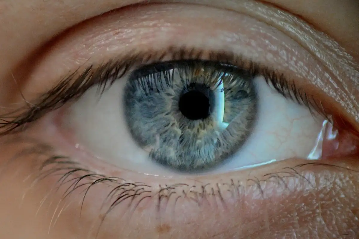 Close-up of a gray-blue eye (stock photo)